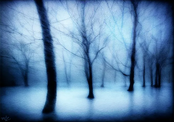 静寂の底 | the Bottom of Silence | MIE #272 - Mystique In Enigma