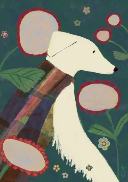Good boy - Yamila Yjilioff
