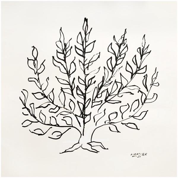 Le Buisson - Henri Matisse