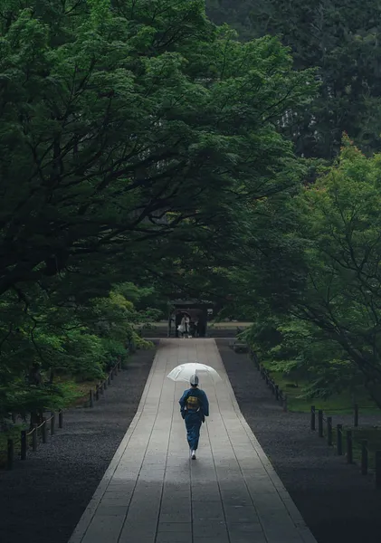 Kyoto Maple Garden Path, Blue Kimono – Maiko Photography Print - ヨシダトクジ