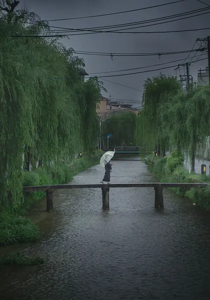 Shirakawa Canal Bridge, Gion Kyoto – Maiko Rainy Day Photography Print - ヨシダトクジ