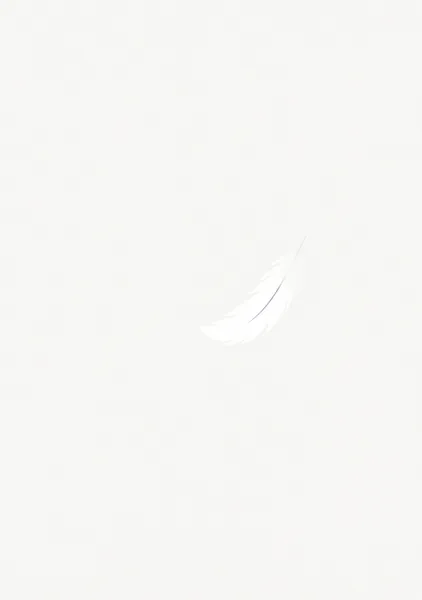 存在 - Jama