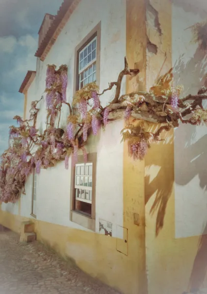 Wisteria on a Sunlit House in Óbidos, Portugal - Hecate Pim