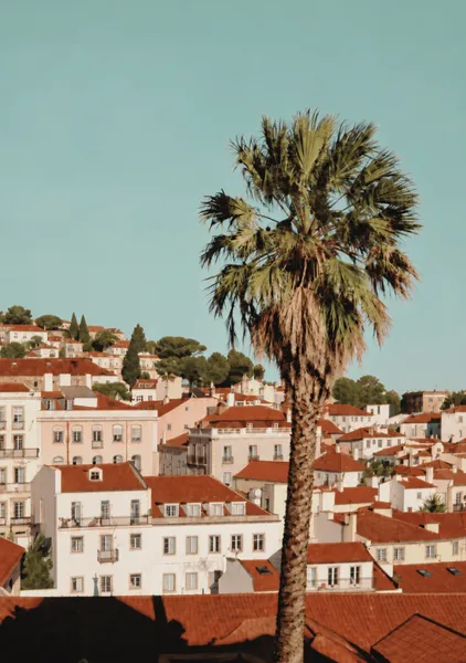 Alfama Rooftops, Lisbon Cityscape - Hecate Pim