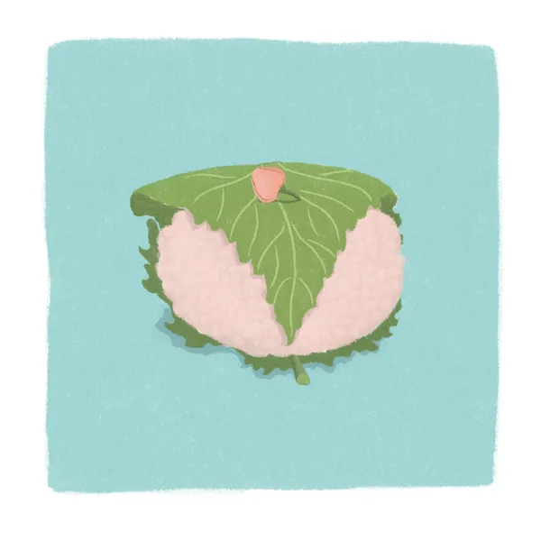 Sakura mochi - Ani-chan Studio