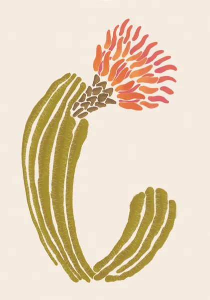 Bloomed cactus - Ani-chan Studio