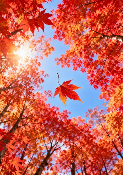 『 … 』 - Yohaku.