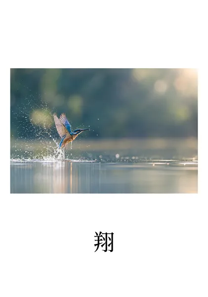 翔 / Take Flight - Yohaku.