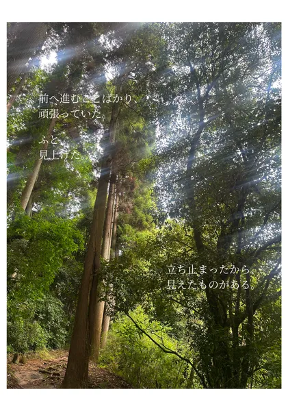 立ち止まったから、見えたもの。 / What I Saw When I Stopped - Yohaku.