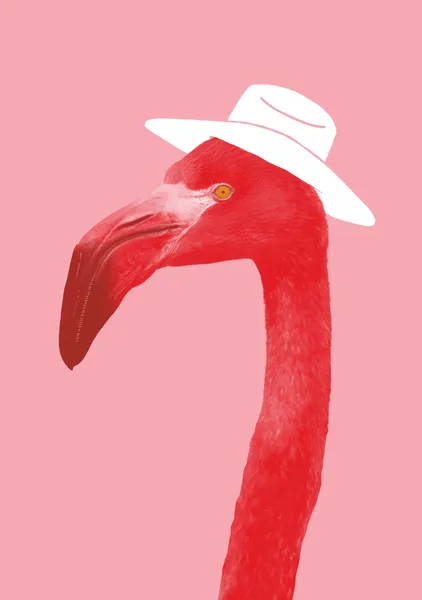 Cowboy Flamingo - Anyone Can Yeehaw
