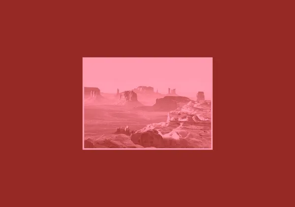 Rose Desert - Anyone Can Yeehaw