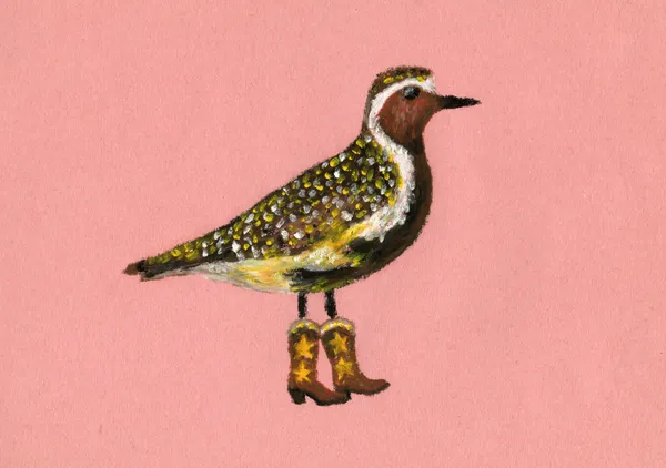 Golden Plover in Cowboy Boots - Anyone Can Yeehaw