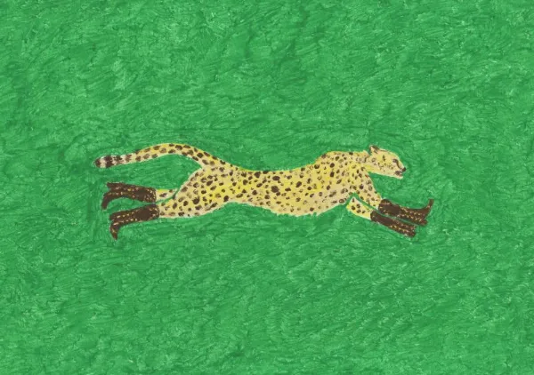 Florence the Cowgirl Cheetah - Anyone Can Yeehaw
