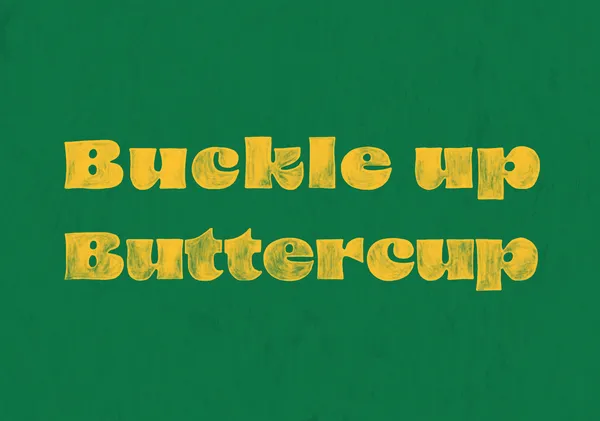Buckle Up Buttercup - Anyone Can Yeehaw