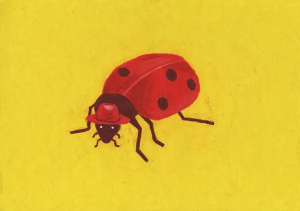 A Little Ladybird With A Little Stetson - Anyone Can Yeehaw