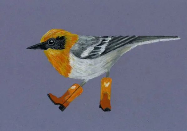 The Olive Warbler Cowboy - Anyone Can Yeehaw
