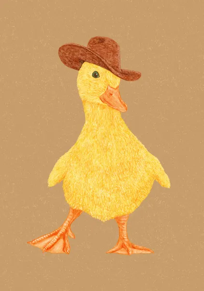 Daphne The Cowgirl Duckling - Anyone Can Yeehaw