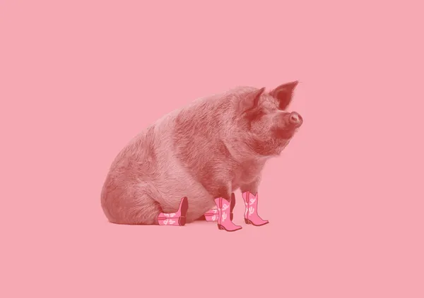 Hogatha - Anyone Can Yeehaw