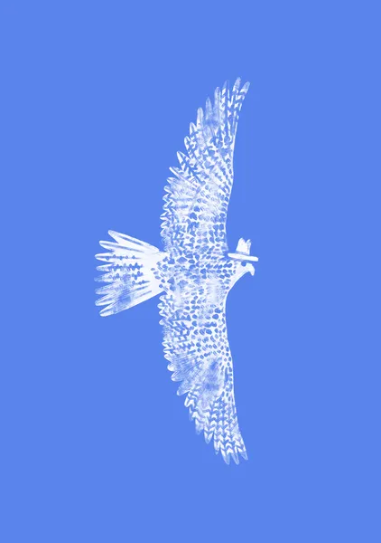 Gyrfalcon - Anyone Can Yeehaw
