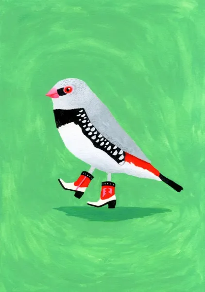 Diamond Fire-tailed Finch in Cowgirl Boots - Anyone Can Yeehaw