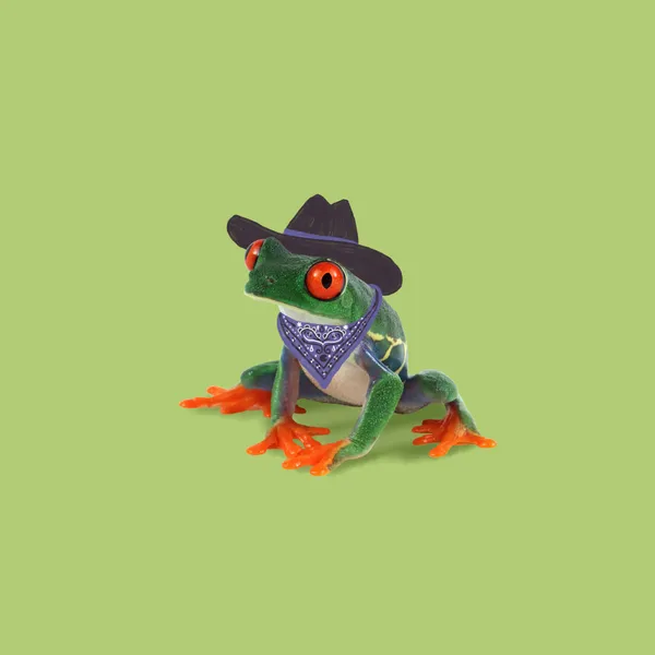Delilah the Red Eyed Tree Frog - Anyone Can Yeehaw