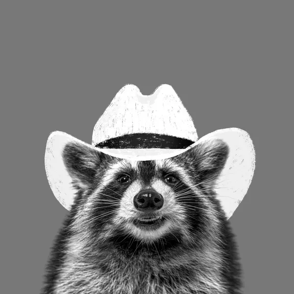 Wyatt The Cowboy Raccoon - Anyone Can Yeehaw