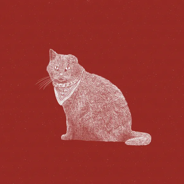 The Badass Bandit Cat - Anyone Can Yeehaw