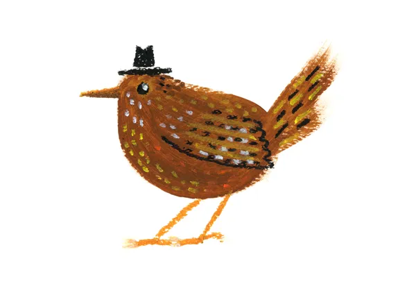 Pacific Wren in a Tiny Cowboy Hat - Anyone Can Yeehaw