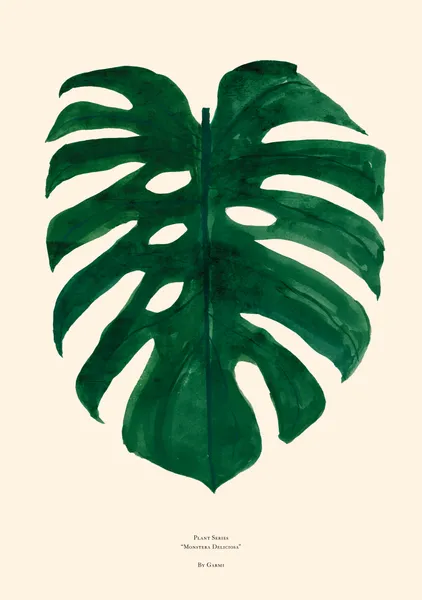 Monstera Deliciosa - By Garmi Studio