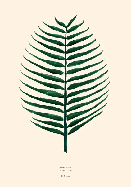 Cocos Nucifera - By Garmi Studio