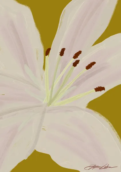 Painted Lilies - Stephie Cardona