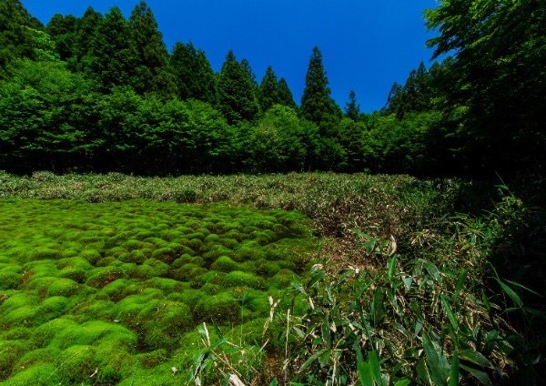 自然からの贈り物 - 風景写真家 岡本卓也