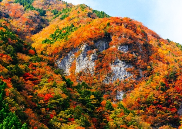 秋の高の瀬峡 - 風景写真家 岡本卓也