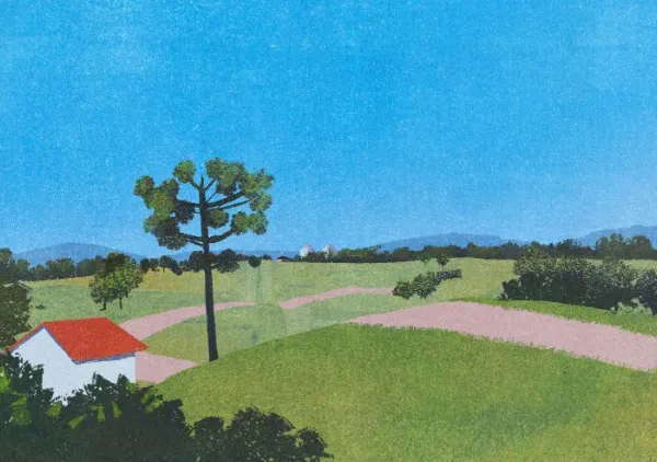 Araucária - Gustavo Barbosa