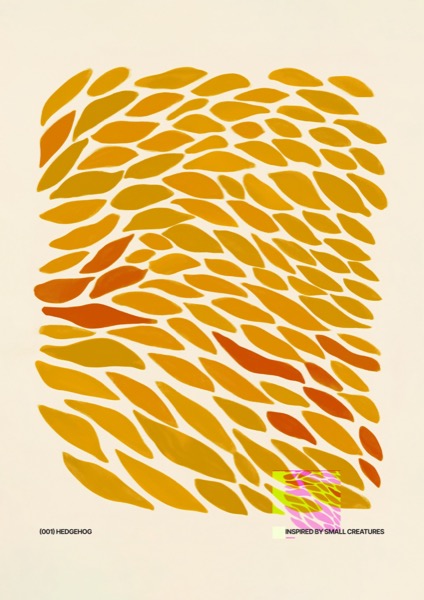 Hedgehog - PosterCircus