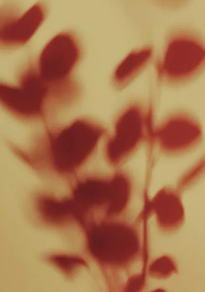 Eucalyptus Shadows - PosterCircus