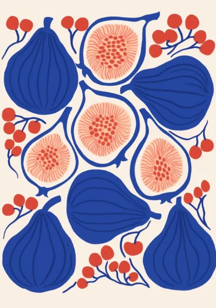 Figs & Berries - PosterCircus