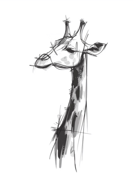 Giraffe - PosterCircus