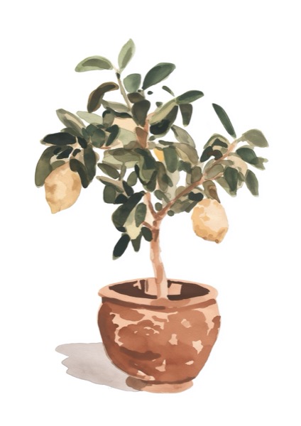 Lemon Tree - PosterCircus