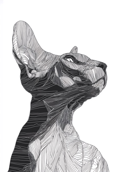 Sphinx in Stripes - PosterCircus