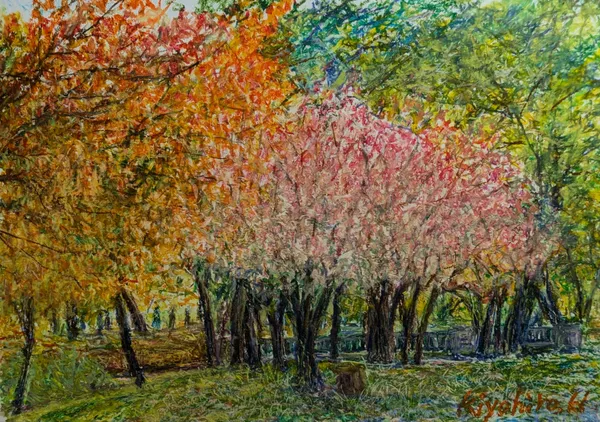 桃色に紅葉する木 - kiyohiro Hasegawa