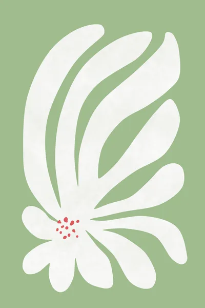 Chrysanthemum - amini54