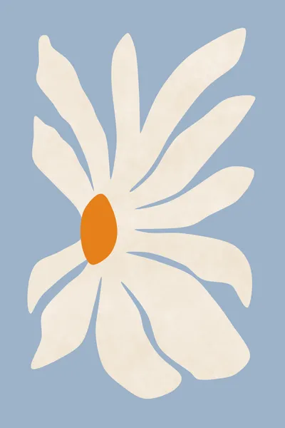 Gerbera - amini54