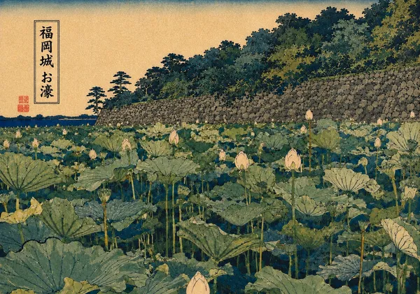 「福岡城 お濠の蓮 ― 夏の記憶」 Fukuoka Castle Moat — Lotus in Summer - mogu