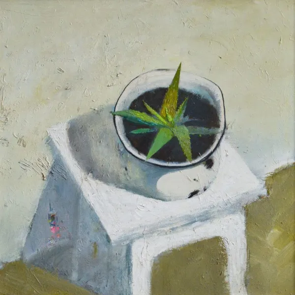 Aloe - Igor Nekraha