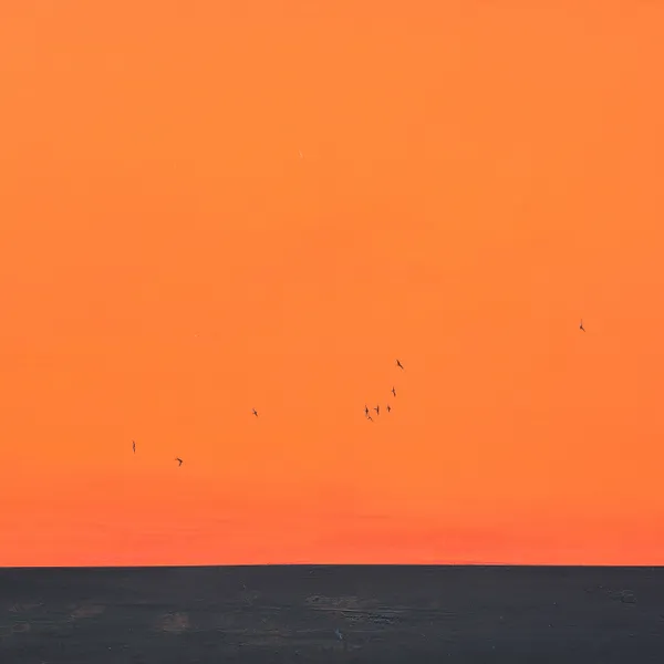 IGOR NEKRAHA SUNSET - Igor Nekraha