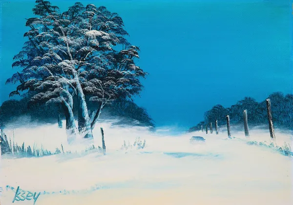 吹雪 - 岡村偉生