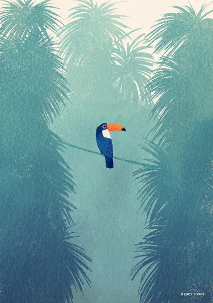 Toucan - Henry Rivers