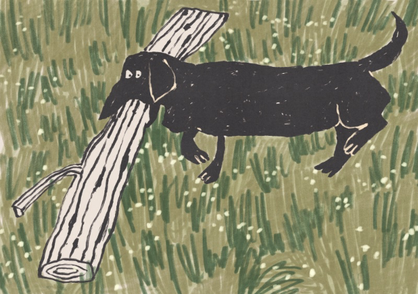 Little dog big log - emilia wharfe