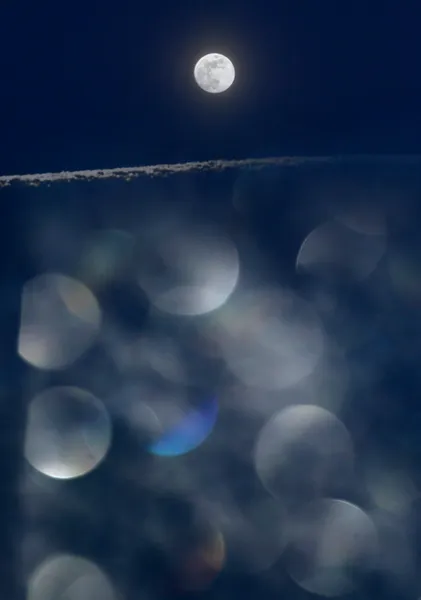 Blue moonlight 蒼い月光 - Takashy 山本　隆
